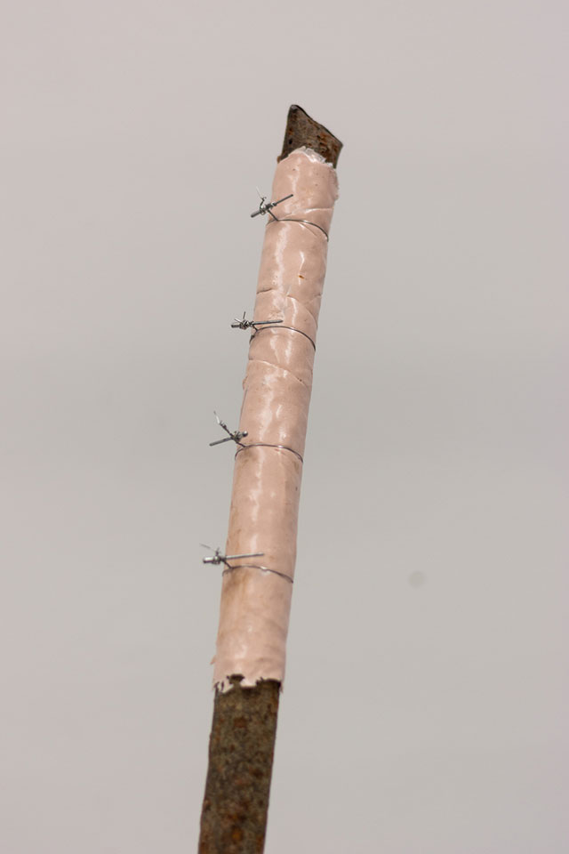 BAJO LA PIEL. TRASLACIONES Y DISONANCIAS