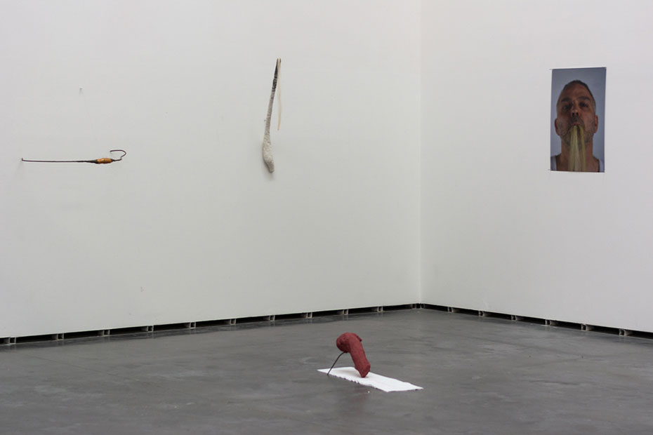 BAJO LA PIEL. TRASLACIONES Y DISONANCIAS