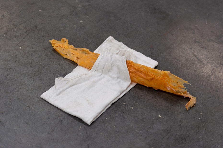 BAJO LA PIEL. TRASLACIONES Y DISONANCIAS