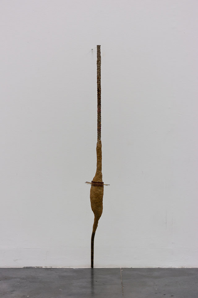 BAJO LA PIEL. TRASLACIONES Y DISONANCIAS