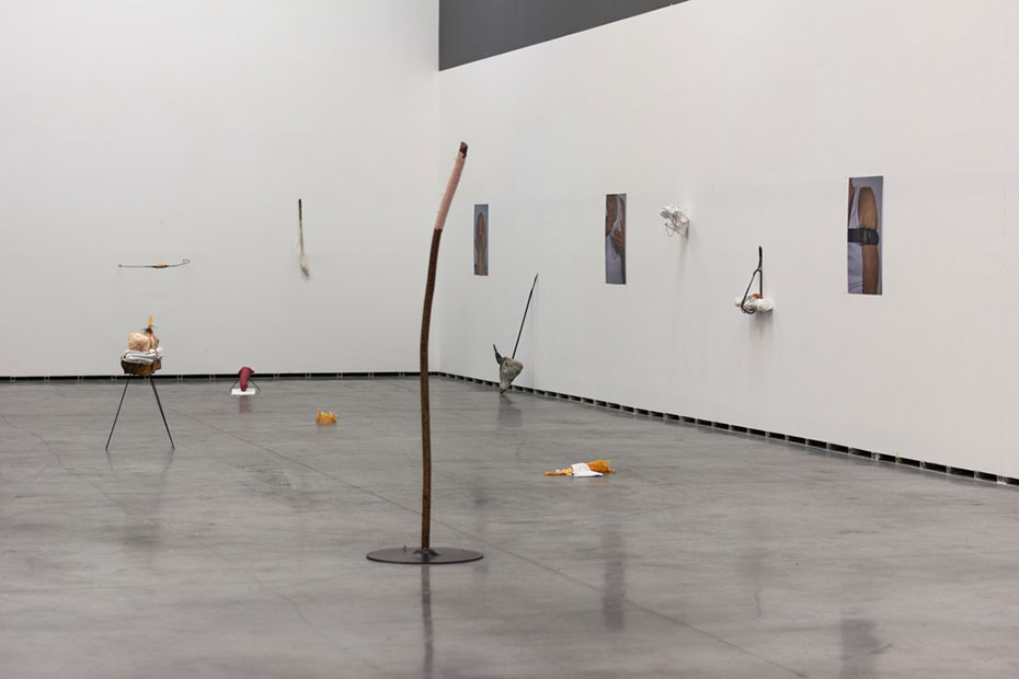 BAJO LA PIEL. TRASLACIONES Y DISONANCIAS