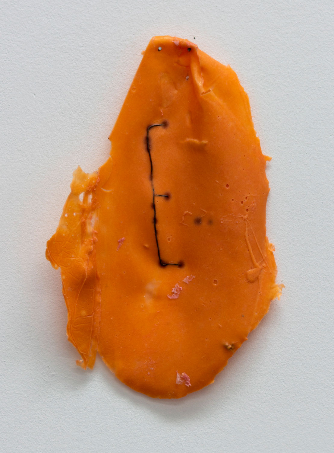 BAJO LA PIEL. TRASLACIONES Y DISONANCIAS