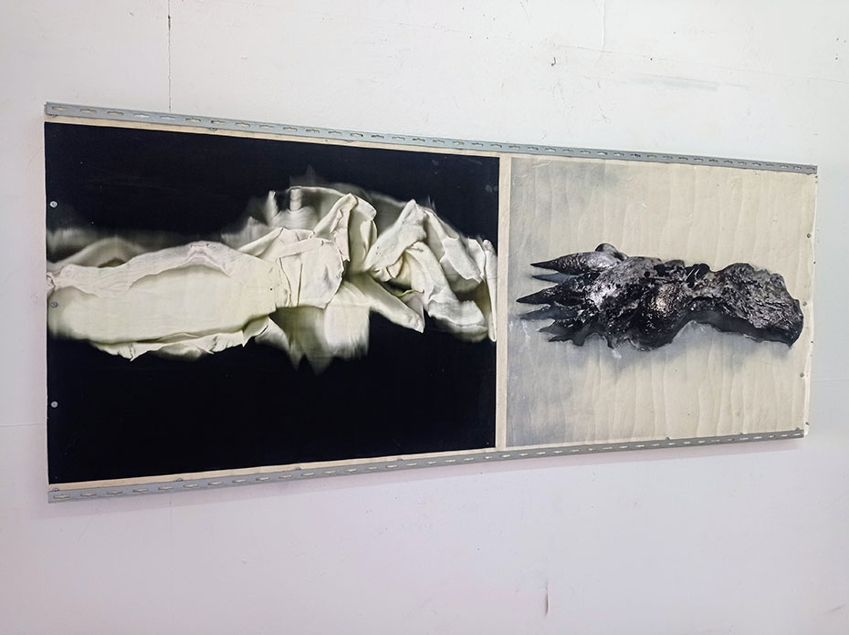 De Carne y Flores. 'O (la estética impura)