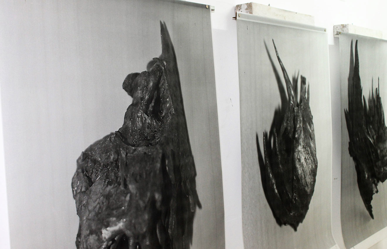 De Carne y Flores. 'O (la estética impura)