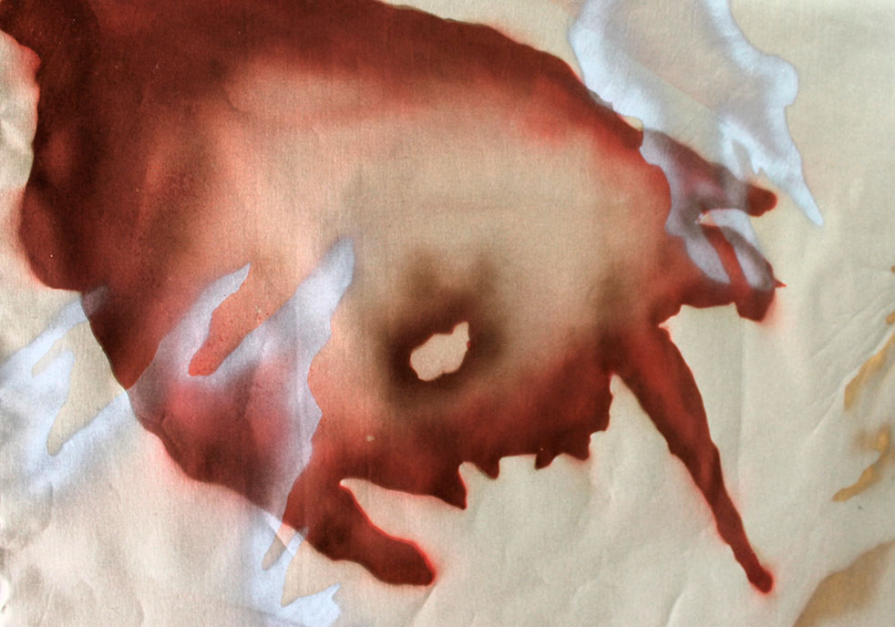 De Carne y Flores. 'O (la estética impura)