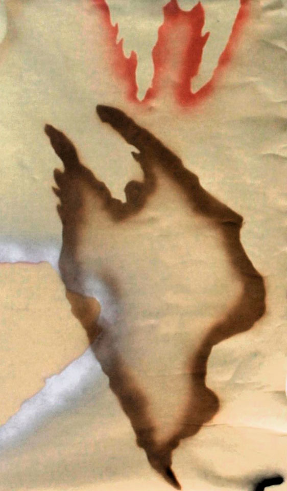 De Carne y Flores. 'O (la estética impura)