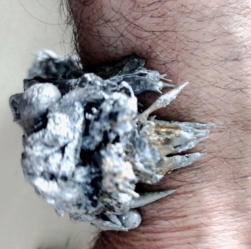 De Carne y Flores. 'O (la estética impura)