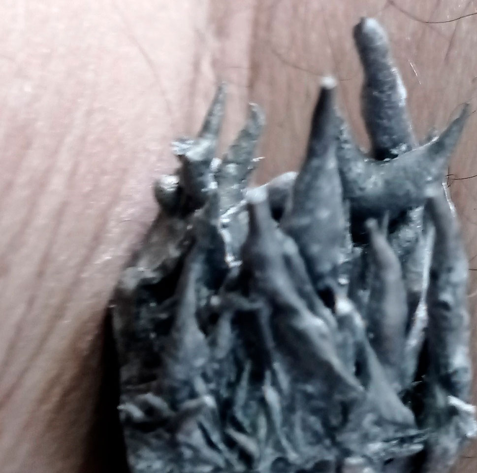 De Carne y Flores. 'O (la estética impura)