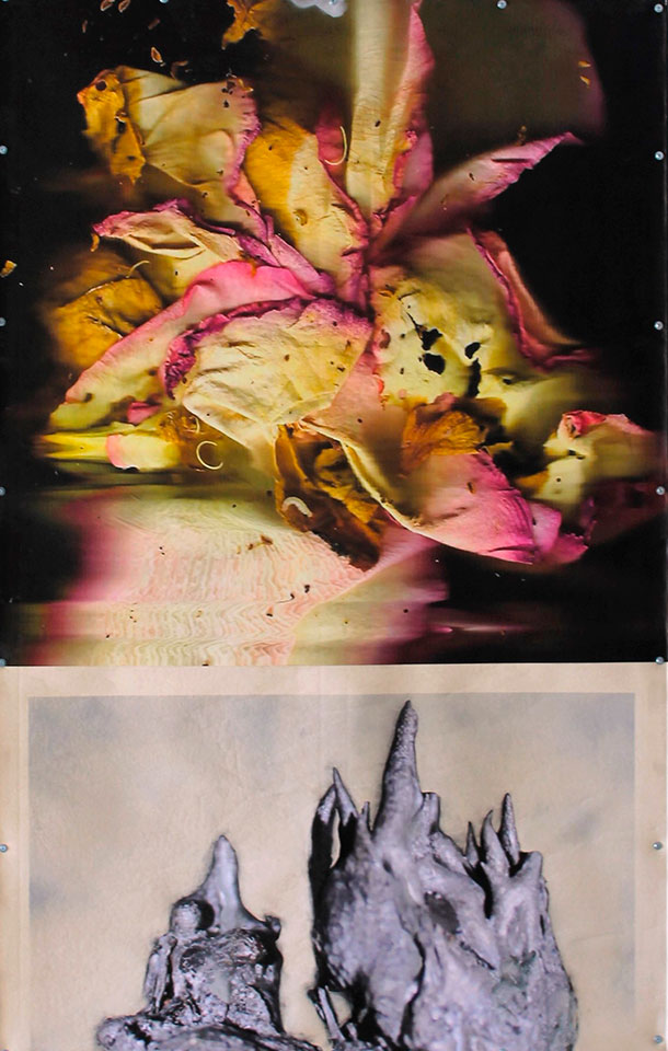 De Carne y Flores. 'O (la estética impura)