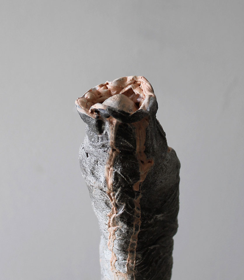 De Carne y Flores. Ó (la estética impura)