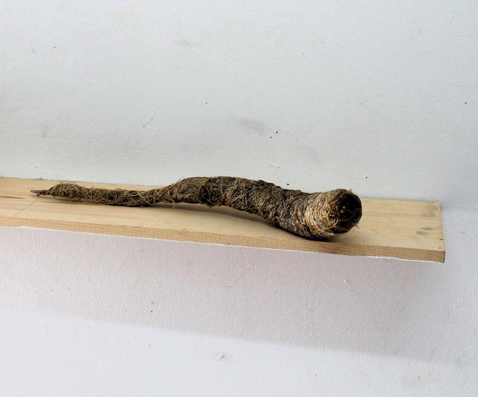 De Carne y Flores. 'O (la estética impura)