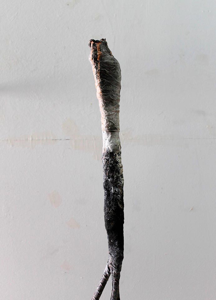 De Carne y Flores. 'O (la estética impura)