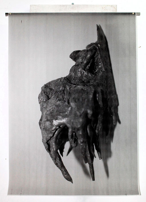 De Carne y Flores. 'O (la estética impura)