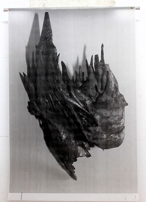 De Carne y Flores. 'O (la estética impura)