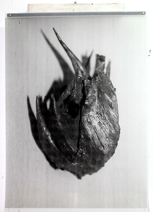 De Carne y Flores. 'O (la estética impura)