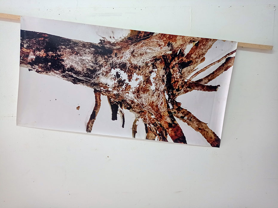 Tránsitos - Jaime Eguaras