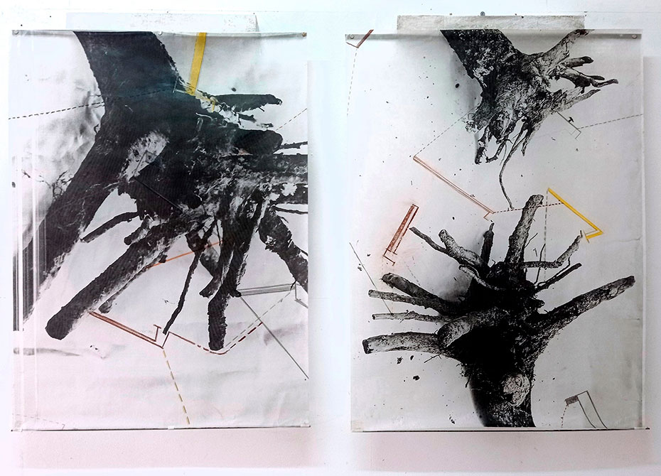 Tránsitos - Jaime Eguaras