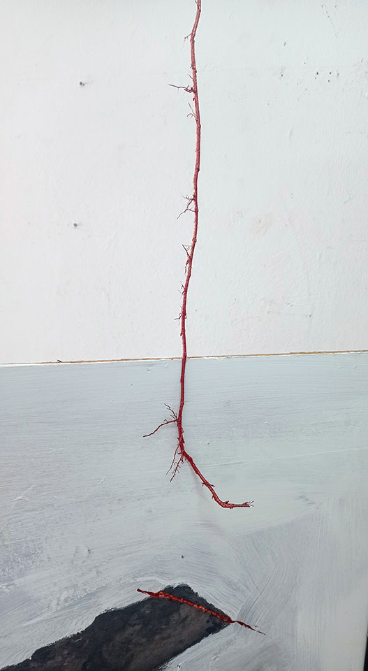 Tránsitos - Jaime Eguaras