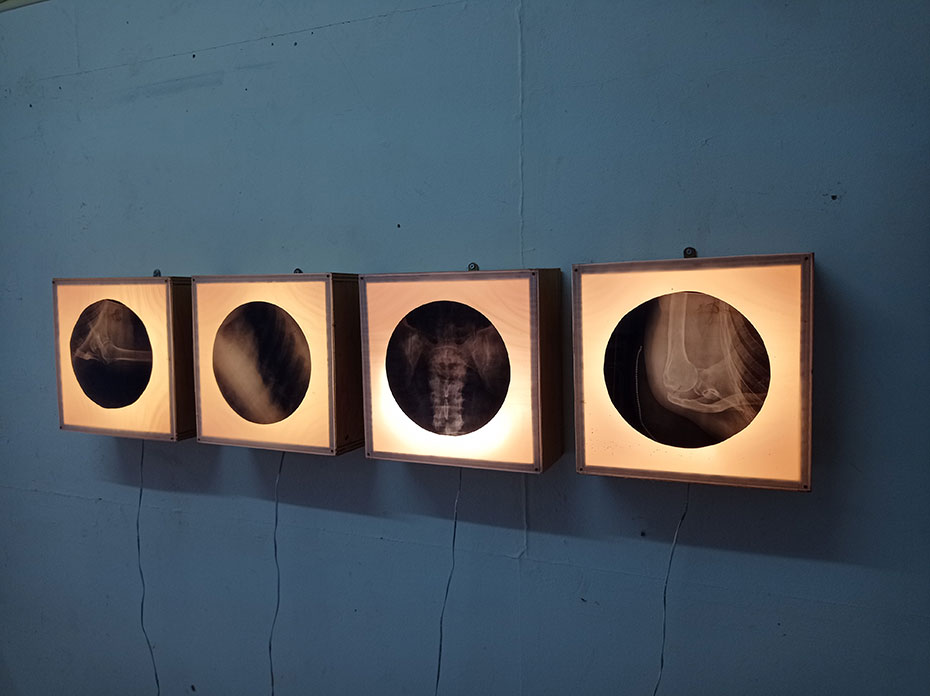 Tránsitos - Jaime Eguaras