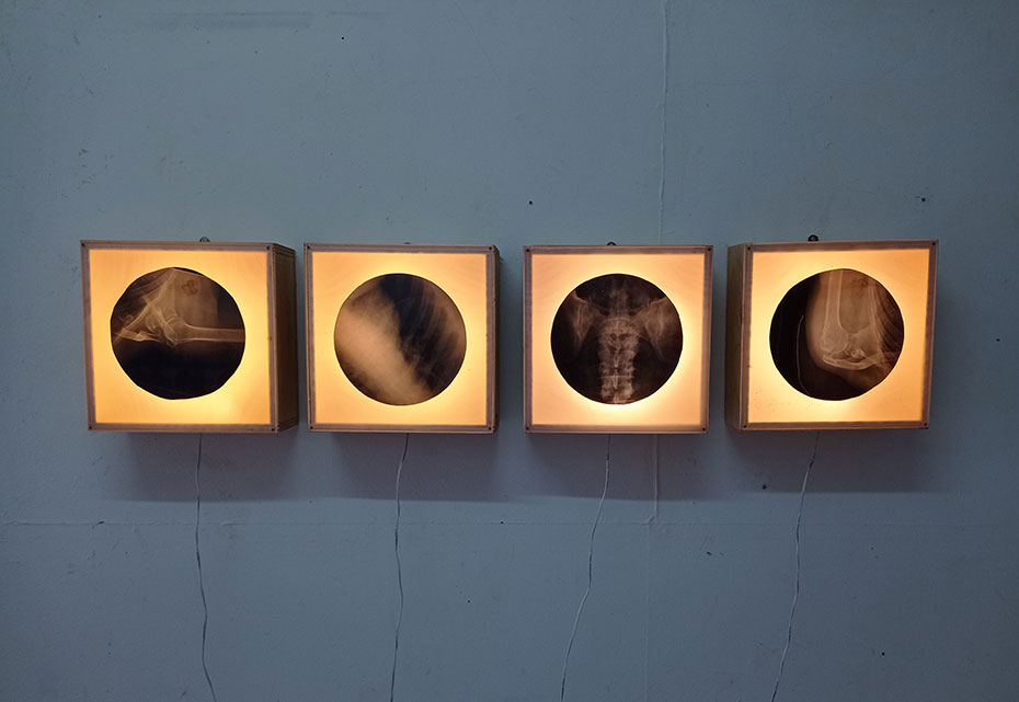 Tránsitos - Jaime Eguaras